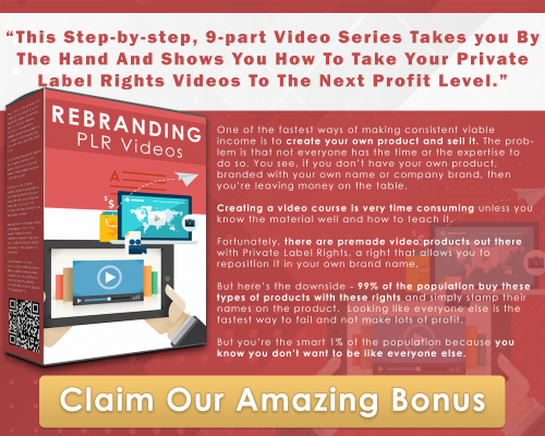 Rebranding PLR Videos Image